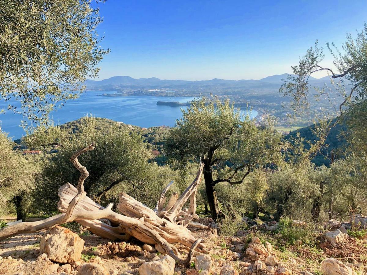 House Teigan Of Intaba Breath Taking Sea Views Corfiot Riviera Corfu Island Greece With Pool Close To Ipsos Casa vacanze *